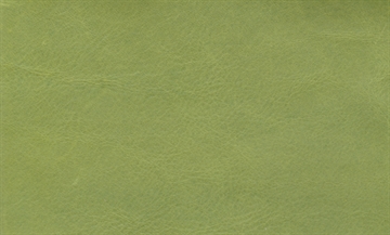 Anilin Læder - Grøn (Halvt hud)